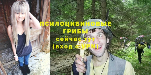 амф Балахна